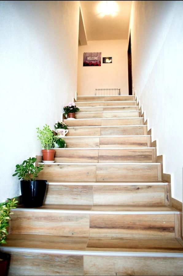 Апартаменты Apartments Popovic Колашин-15
