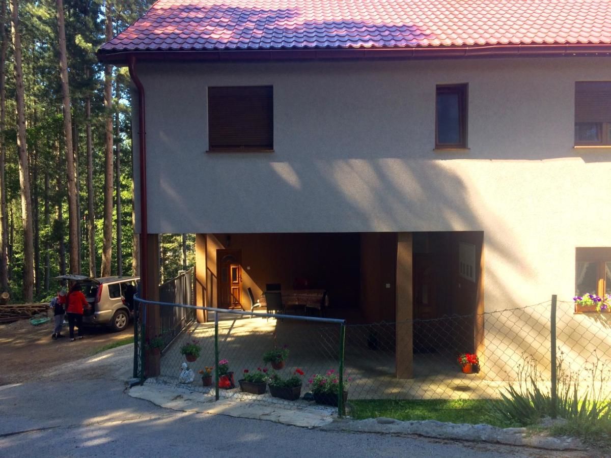 Апартаменты Apartments Popovic Колашин-26