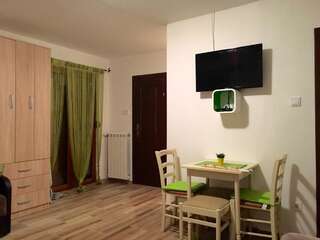 Апартаменты Apartments Popovic Колашин Номер-студио с балконом-5