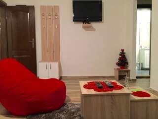 Апартаменты Apartments Popovic Колашин Апартаменты с 1 спальней-1