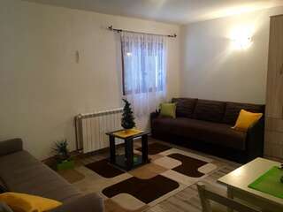 Апартаменты Apartments Popovic Колашин Номер-студио с балконом-15