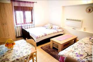 Апартаменты Apartments Popovic Колашин Номер-студио с террасой-3