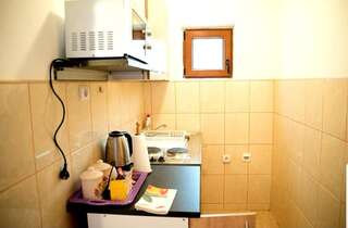 Апартаменты Apartments Popovic Колашин Номер-студио с террасой-7